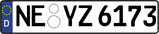 NE-YZ6173