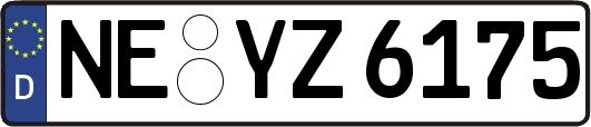 NE-YZ6175