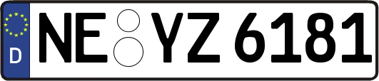 NE-YZ6181