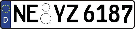 NE-YZ6187