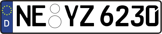 NE-YZ6230