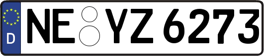 NE-YZ6273