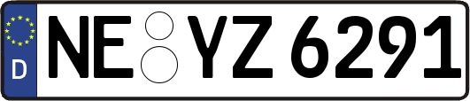 NE-YZ6291