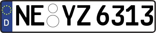 NE-YZ6313