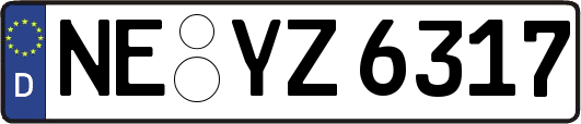 NE-YZ6317
