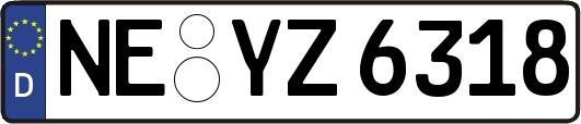 NE-YZ6318