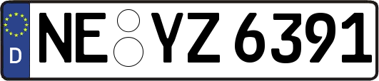 NE-YZ6391