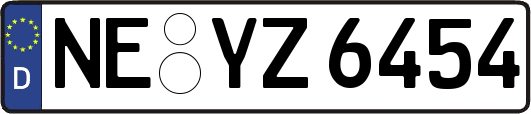 NE-YZ6454