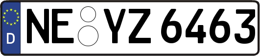 NE-YZ6463