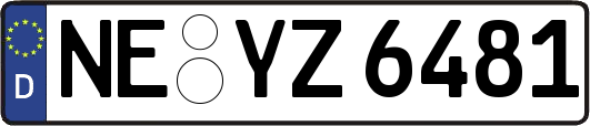 NE-YZ6481