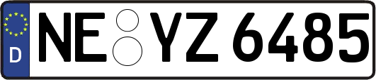 NE-YZ6485
