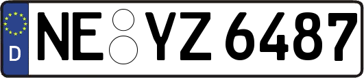 NE-YZ6487