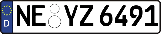 NE-YZ6491