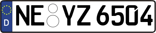 NE-YZ6504