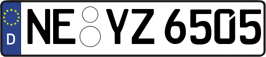 NE-YZ6505