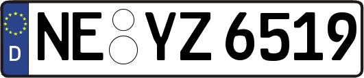 NE-YZ6519