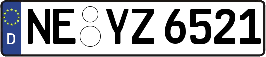 NE-YZ6521