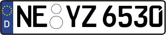 NE-YZ6530