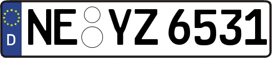 NE-YZ6531
