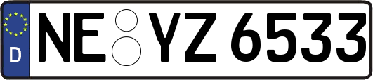 NE-YZ6533