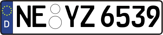 NE-YZ6539