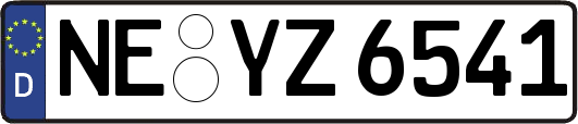 NE-YZ6541