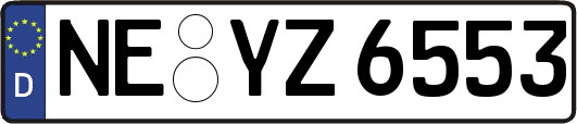NE-YZ6553