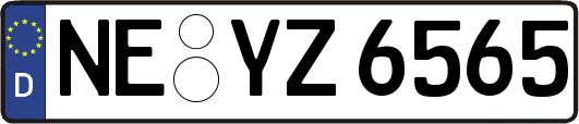 NE-YZ6565