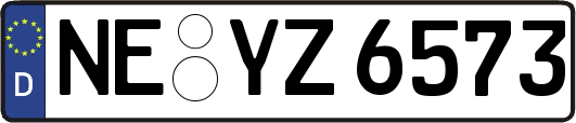 NE-YZ6573