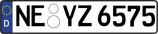 NE-YZ6575