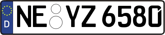 NE-YZ6580