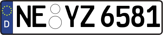 NE-YZ6581