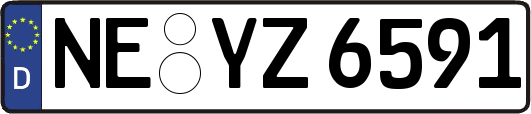 NE-YZ6591