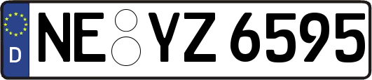 NE-YZ6595
