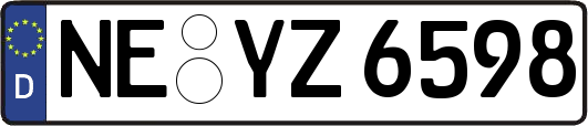 NE-YZ6598