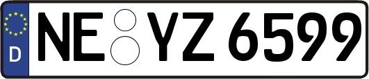 NE-YZ6599