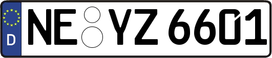 NE-YZ6601