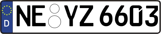 NE-YZ6603