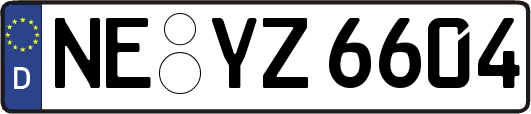 NE-YZ6604
