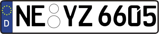 NE-YZ6605