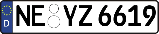 NE-YZ6619