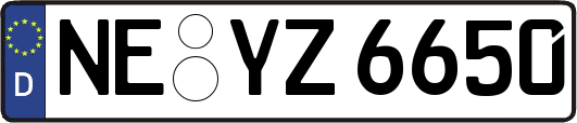 NE-YZ6650