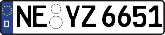 NE-YZ6651