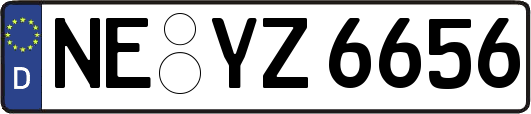 NE-YZ6656
