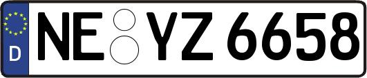 NE-YZ6658