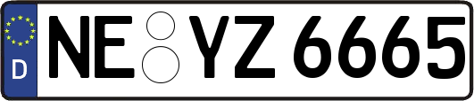 NE-YZ6665