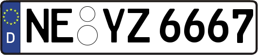 NE-YZ6667