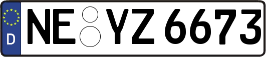 NE-YZ6673