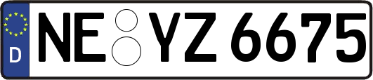 NE-YZ6675