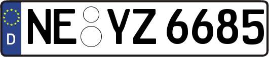 NE-YZ6685
